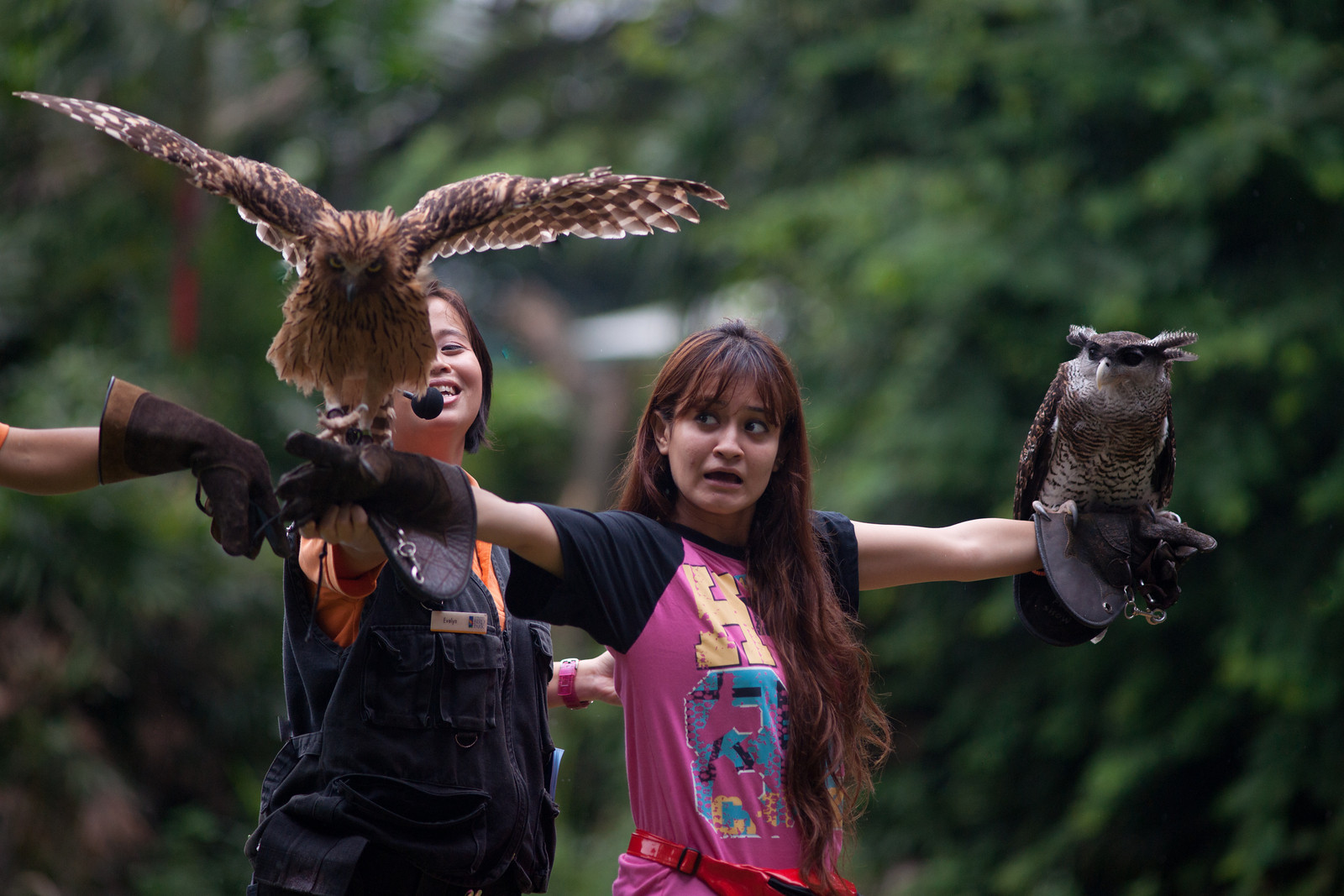 A girl volunteers to be part of the "Birds of Prey" show in Jurong Bird Park (Singapore)