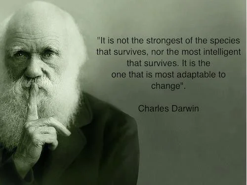 Timeless wisdom