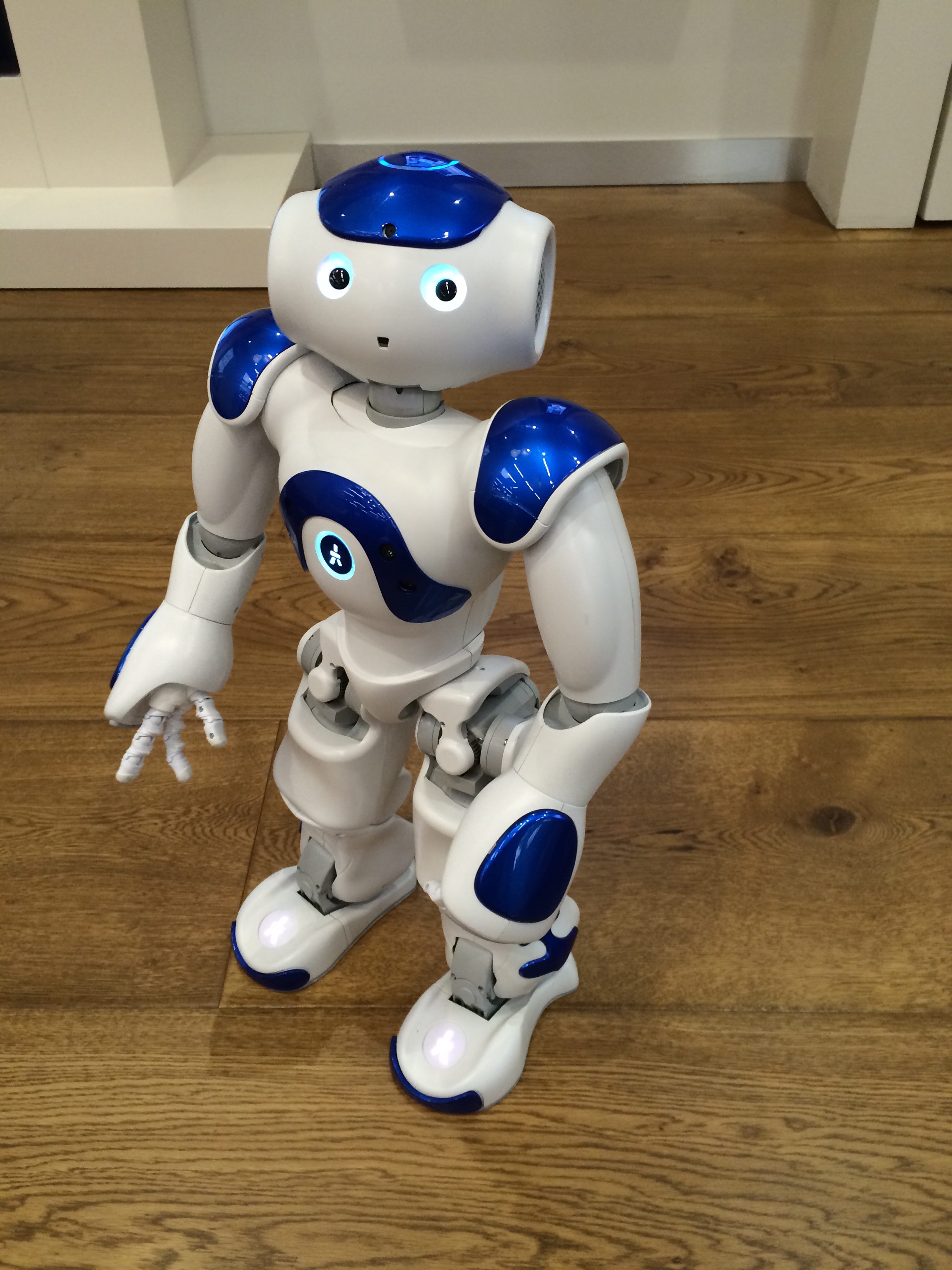 Robots as companions Are we ready? — Maneesh Juneja