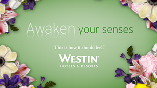 Westin Senses