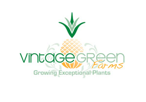 Vintage Green Farms with Tom Piergrossi