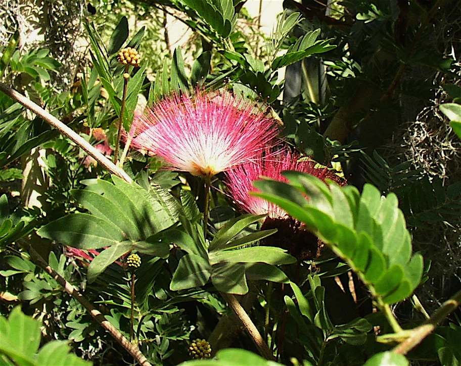 p1010020.jpg
