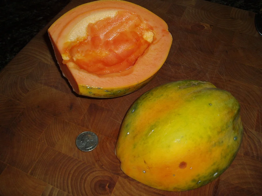 P1010002.jpg