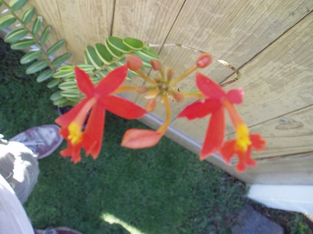 P1010008.jpg