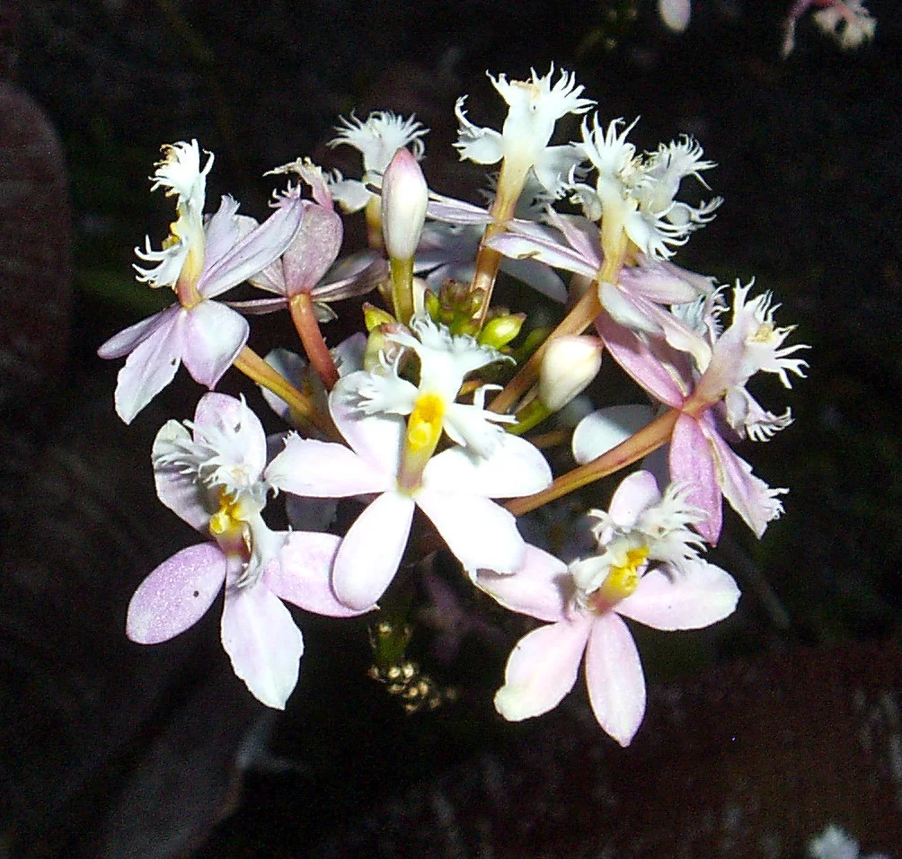 P1010028.jpg
