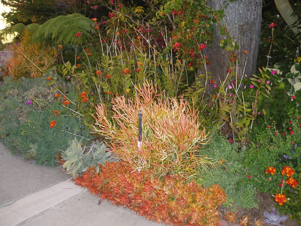 p1010034_2.jpg