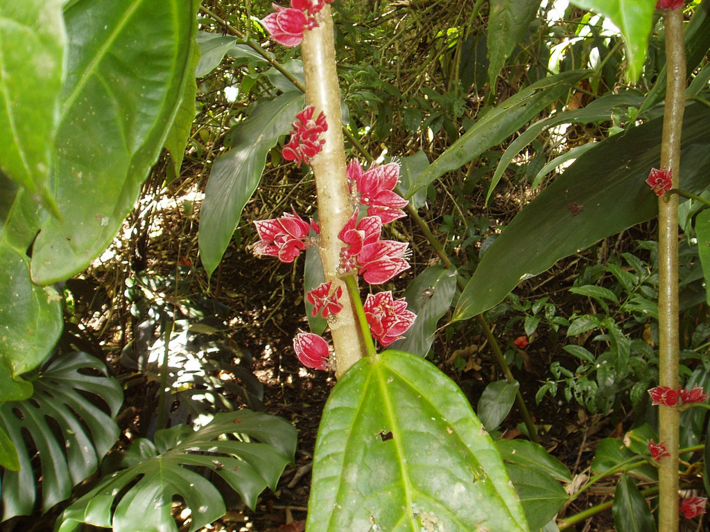 P5614042.jpg