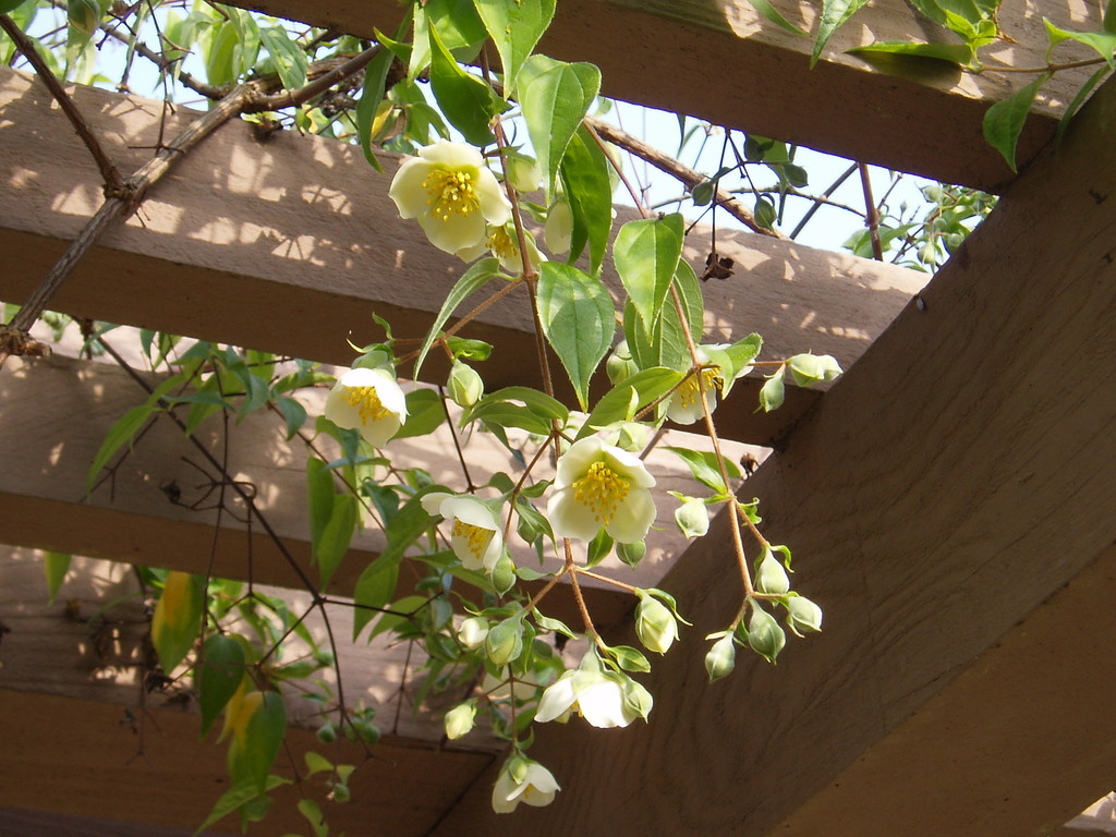 p1010014.jpg