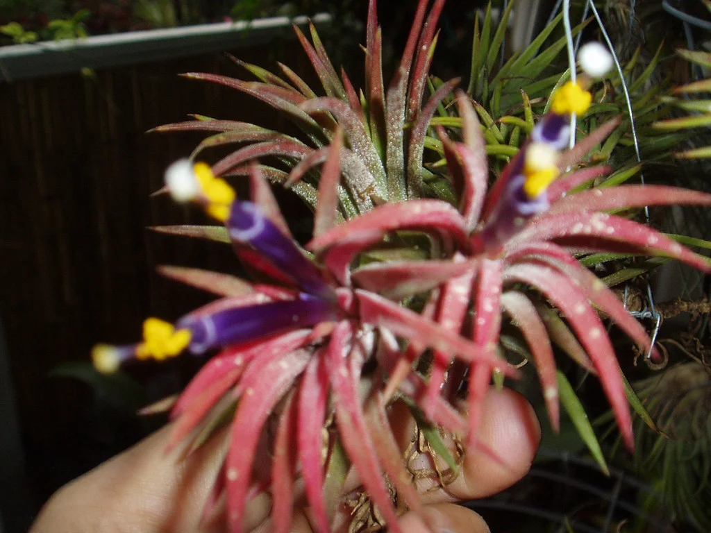 P1010112.jpg