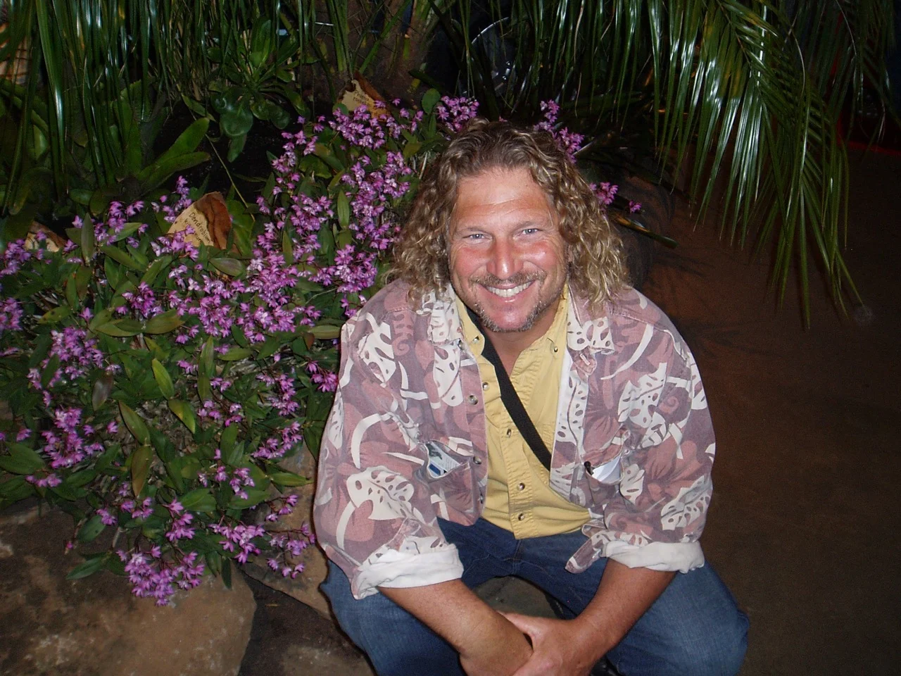 tom dendrobium kingianum.jpg