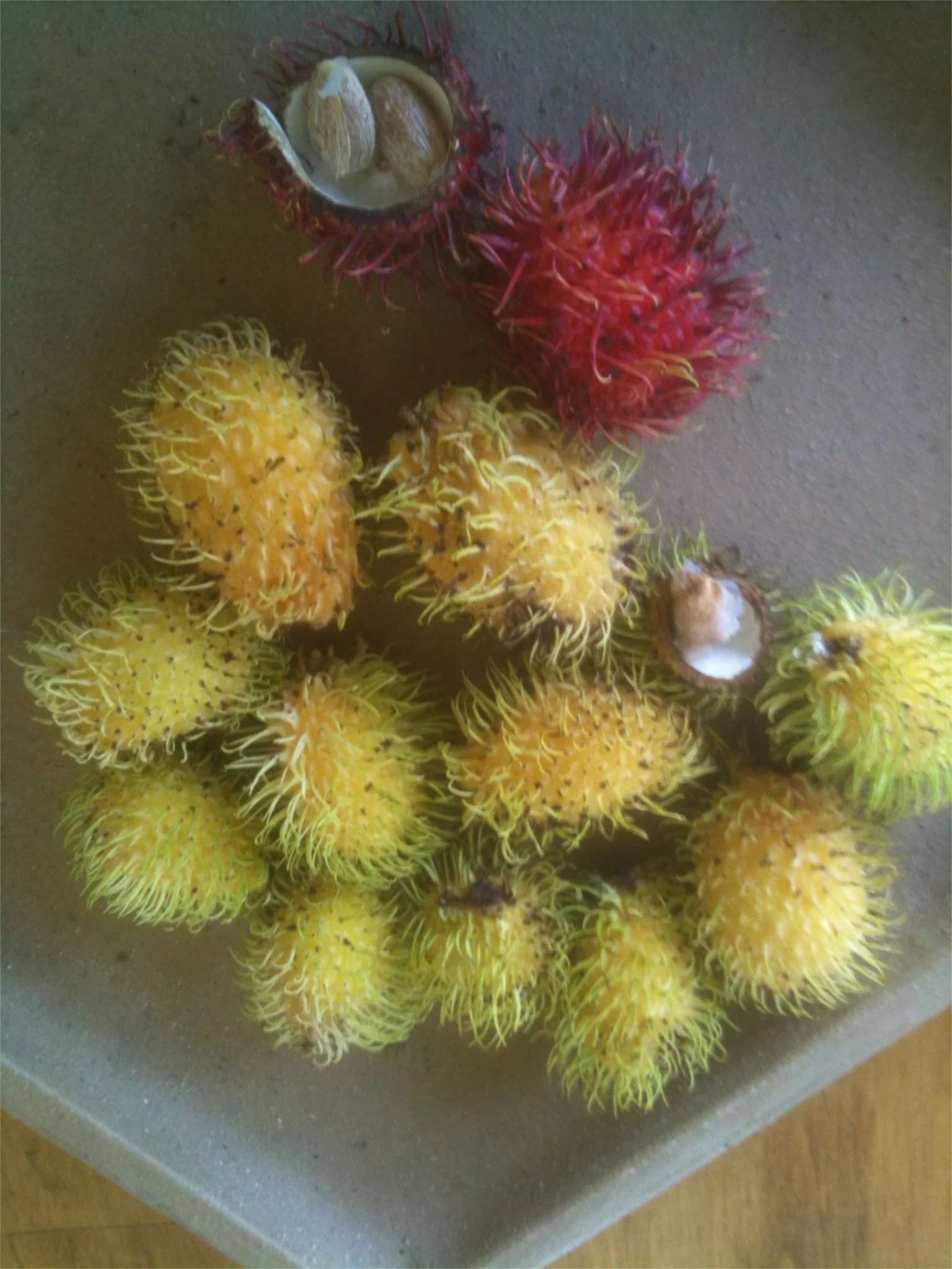 Nephelium lappaceum 'Yellow' Rambutan.jpg