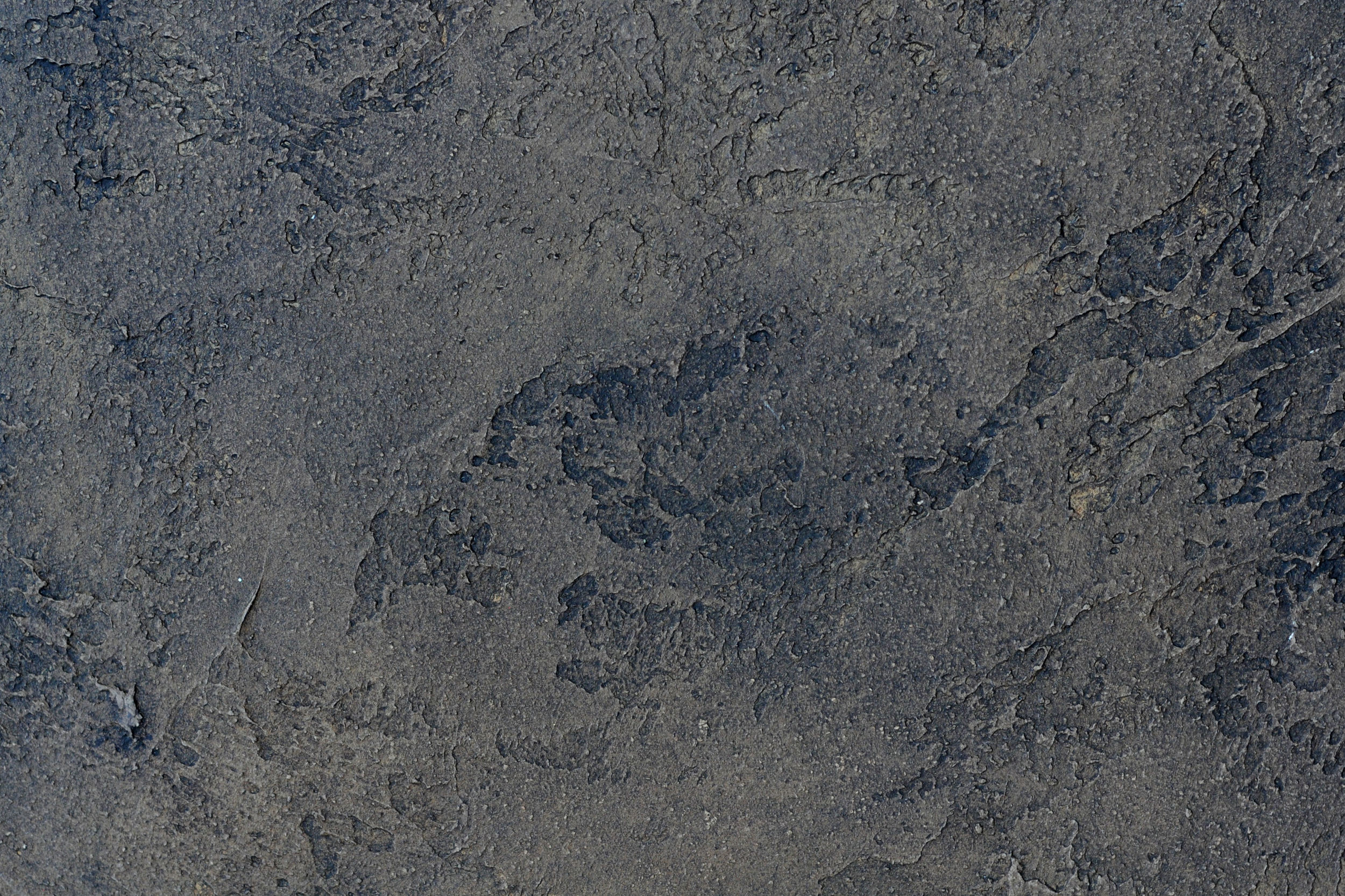 Plaster Tex