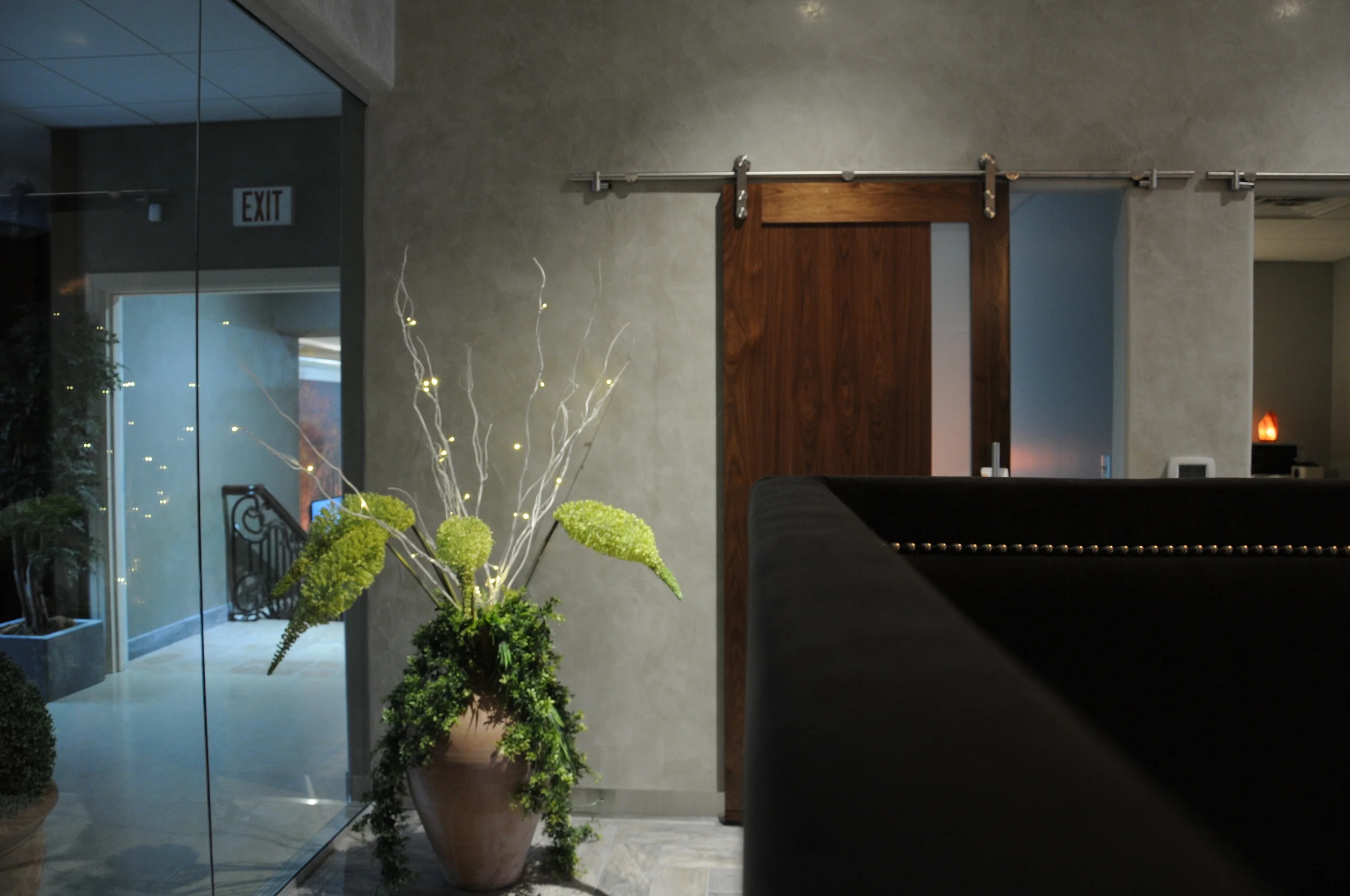 Venetian Plaster Walls