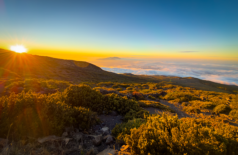 Haleakalā Volcano Summit (10,023 feet)