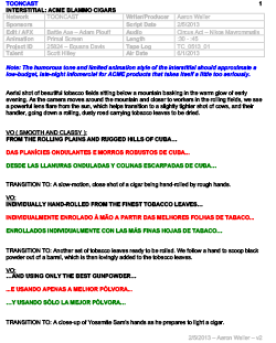 Tooncast ACME Blammo Script