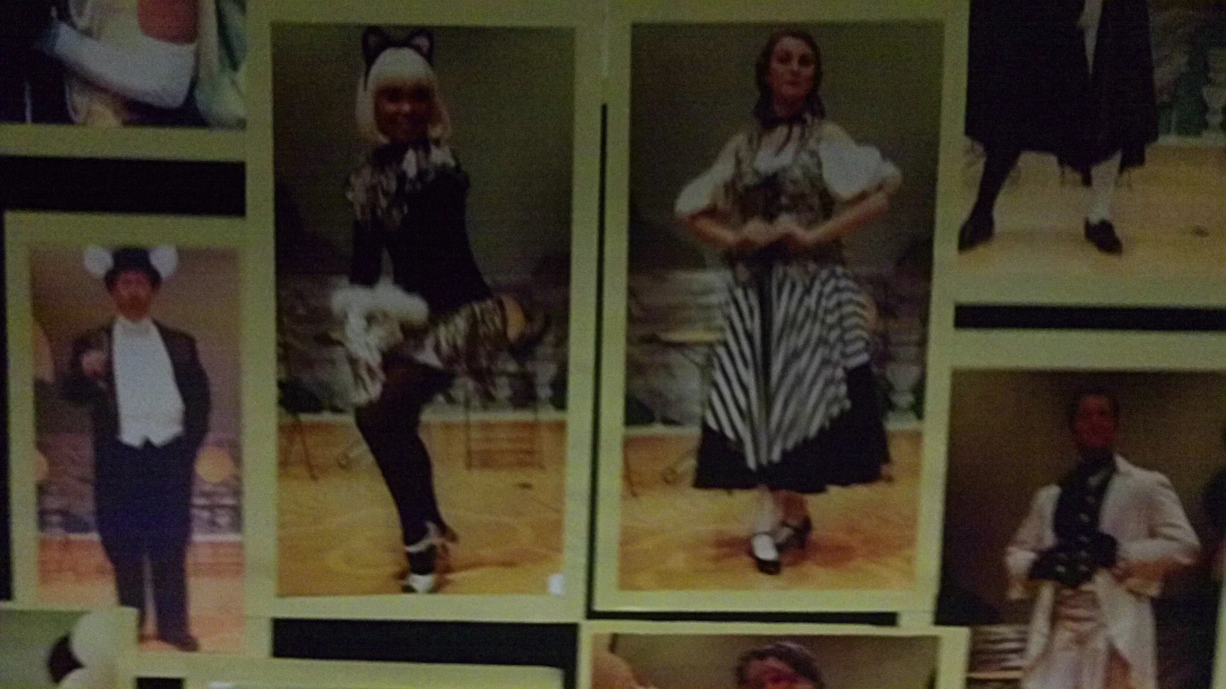 Images from the Bruce Coleman Interview