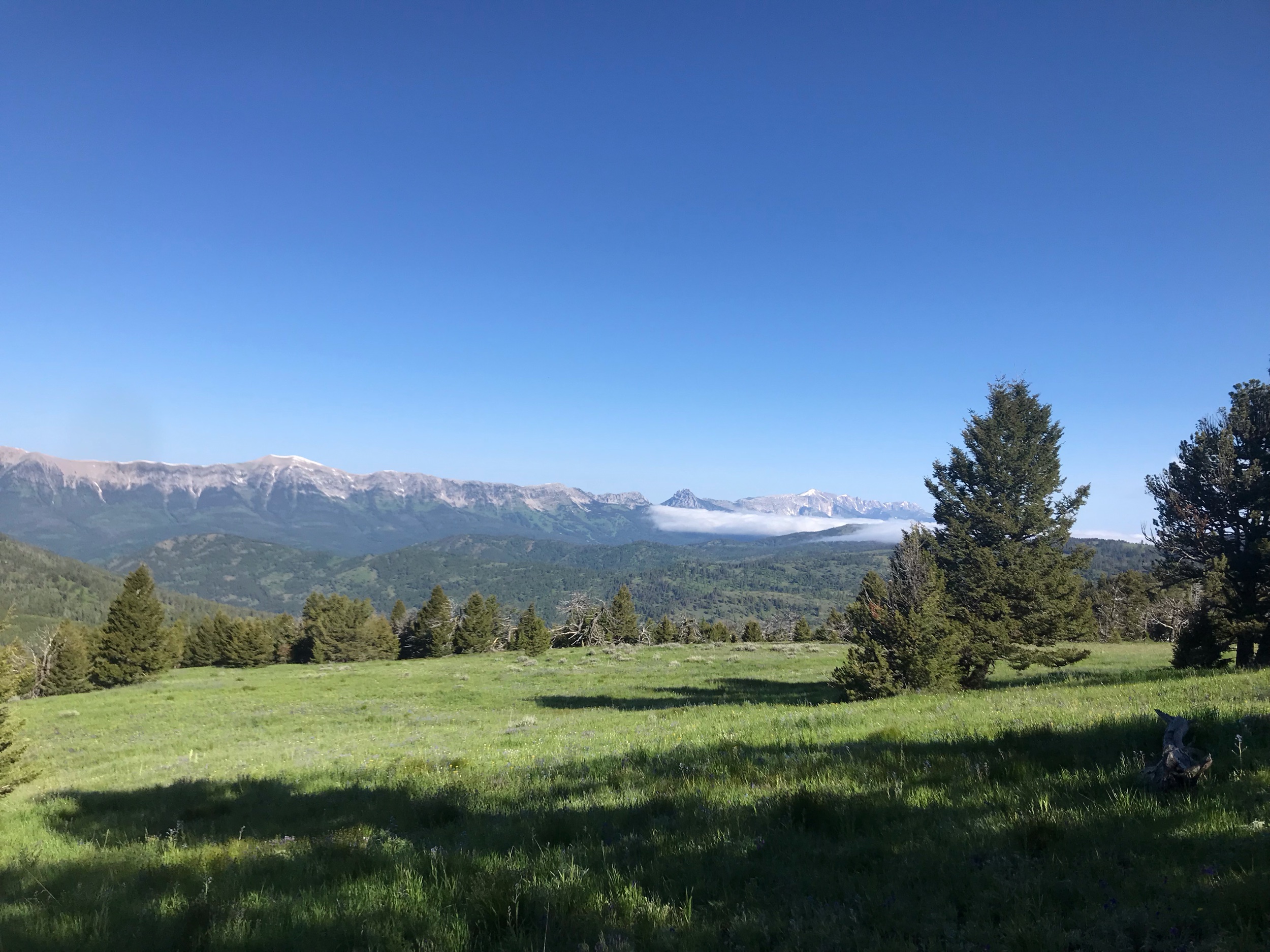 IMG_8004.jpeg