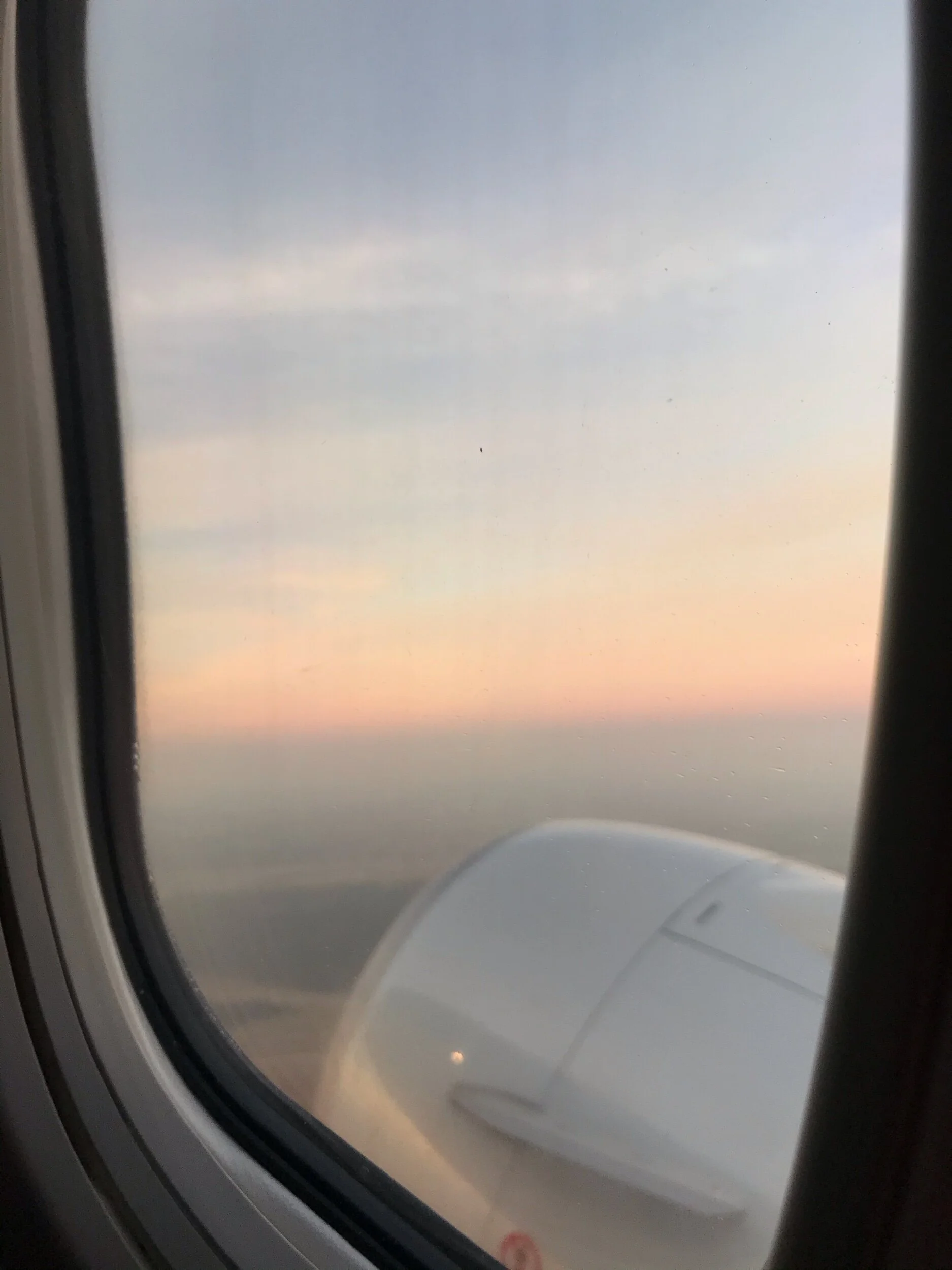 IMG_9473.jpeg