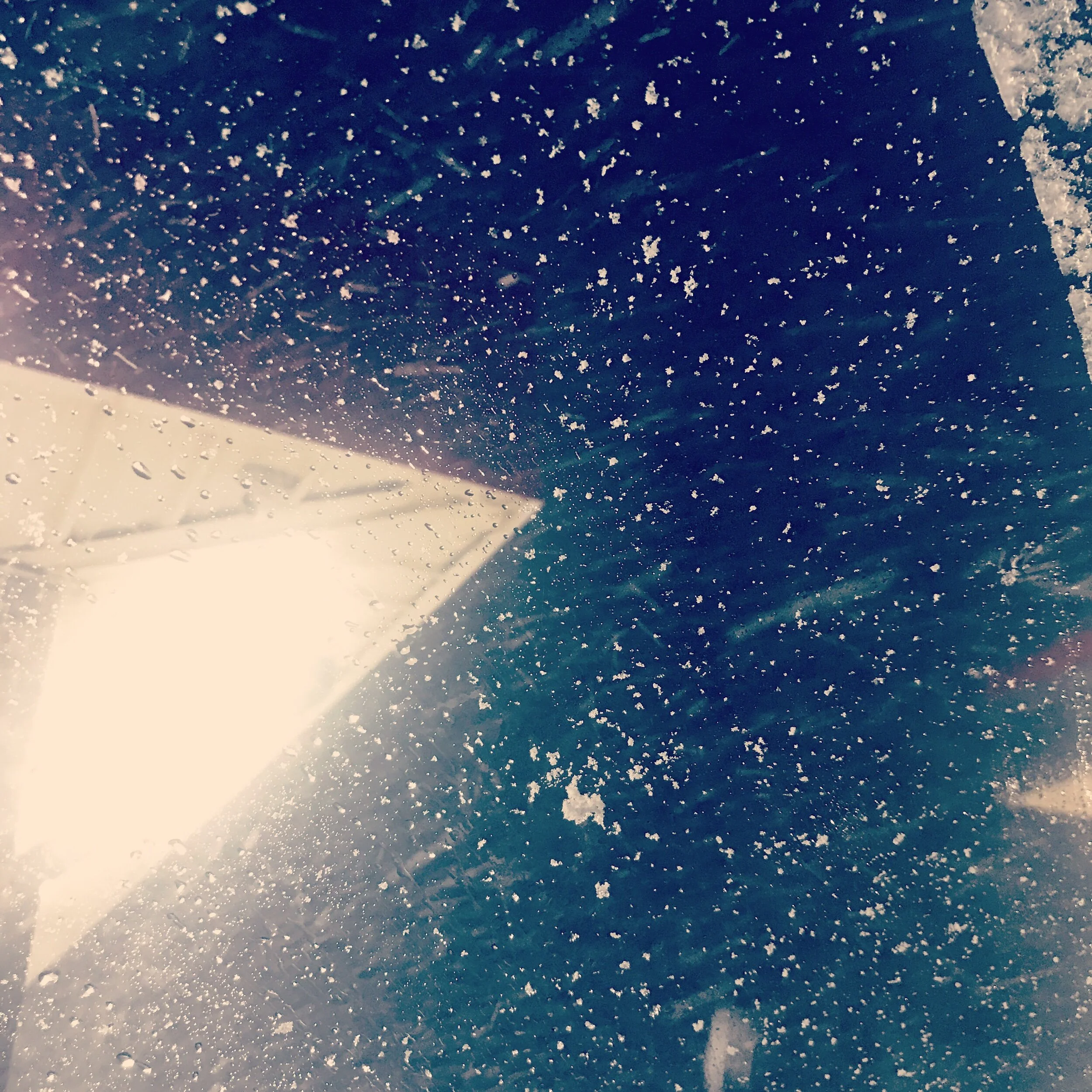 99AB5283-B500-49DF-9A9D-15E67BDD1149.jpeg