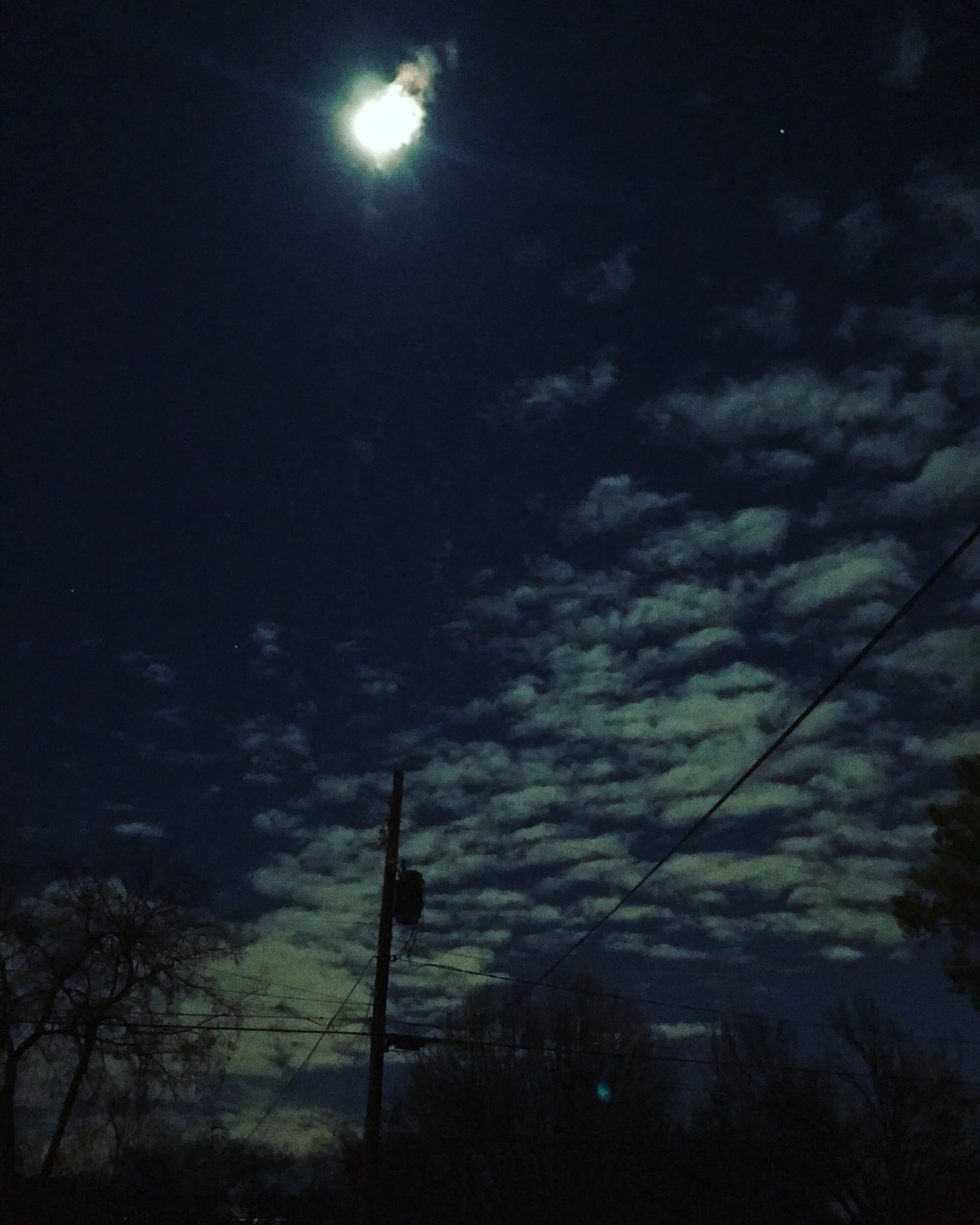 2806A976-304F-41DC-9881-85FCA9710E95.jpeg