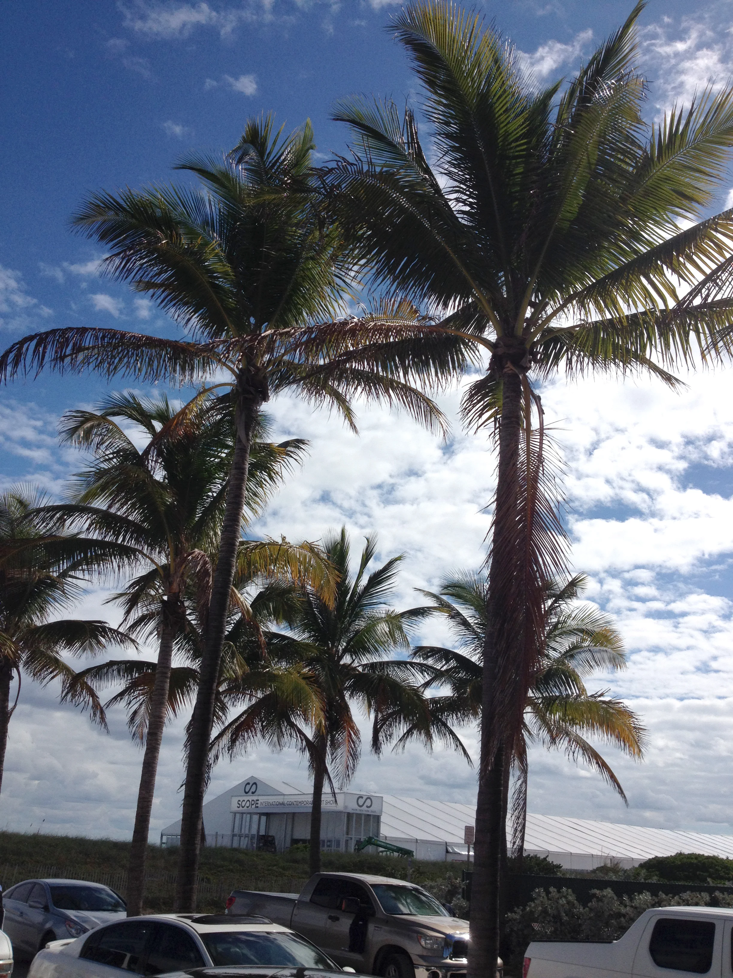 Hello, MIAMI! After a late flight, I got much needed sleep and woke up early to explore! It was amazing to stay at the Clevelander hotel, just a five minute walk to the beach! This was my first glimpse of the SCOPE Pavilion.