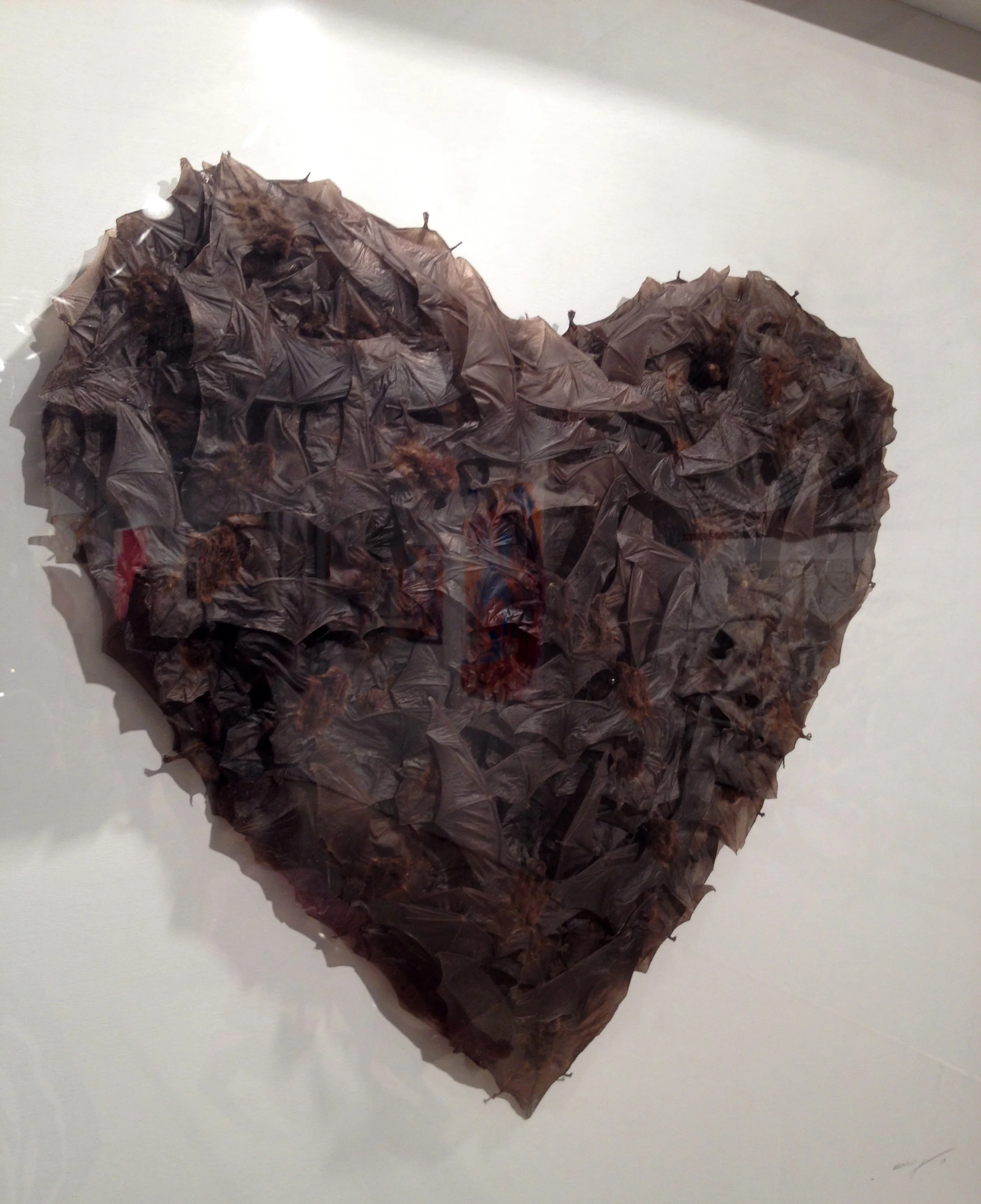 This heart made of taxidermy bats was pretty spectacular.