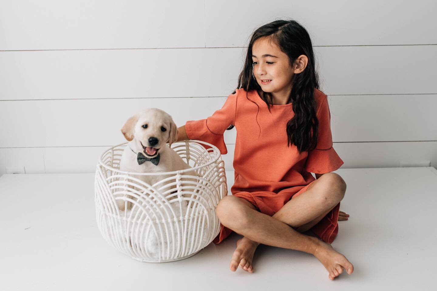 I just want to adopt all the puppies every day and the urge is even harder to resist when sweet little guys like this stroll into the studio. 

Friendly reminder that dogs are always welcome at your shoot. They can even have their own shoot, like thi