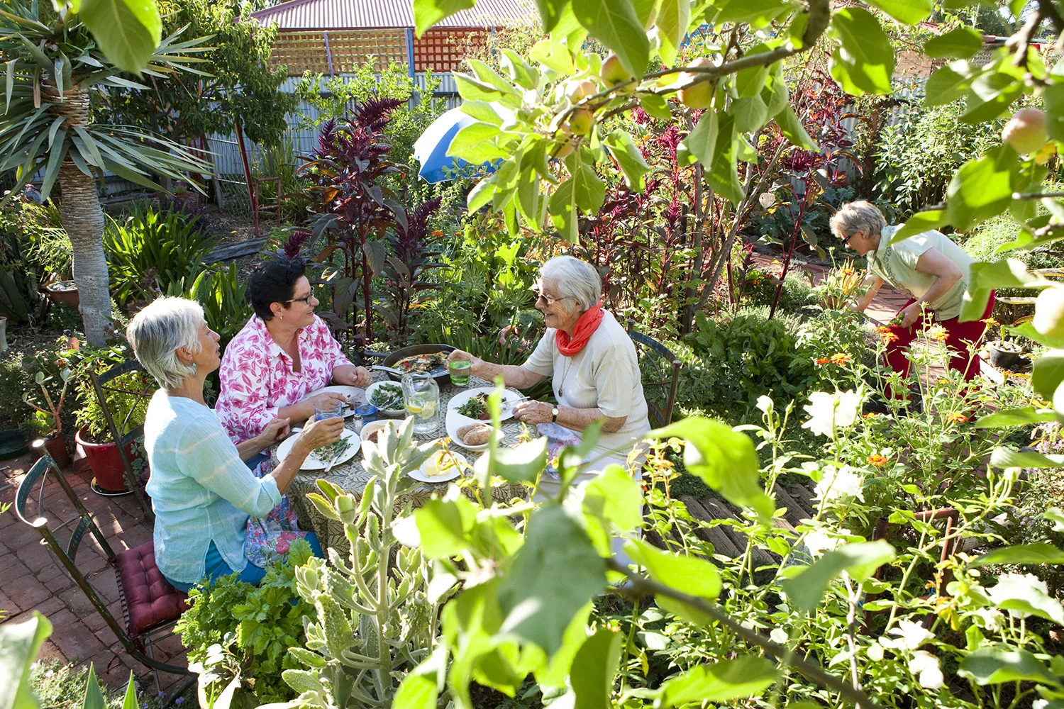 Dhyab Marga McKenzie (centre) shares a lunch made entirely from her home garden, Adelaide Hills, South Australia