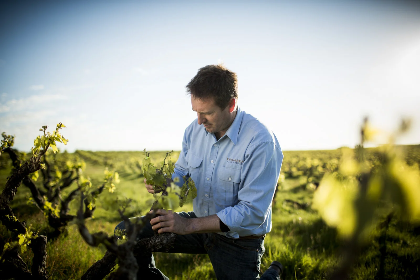 Peter Fraser, winemaker, Yangarra