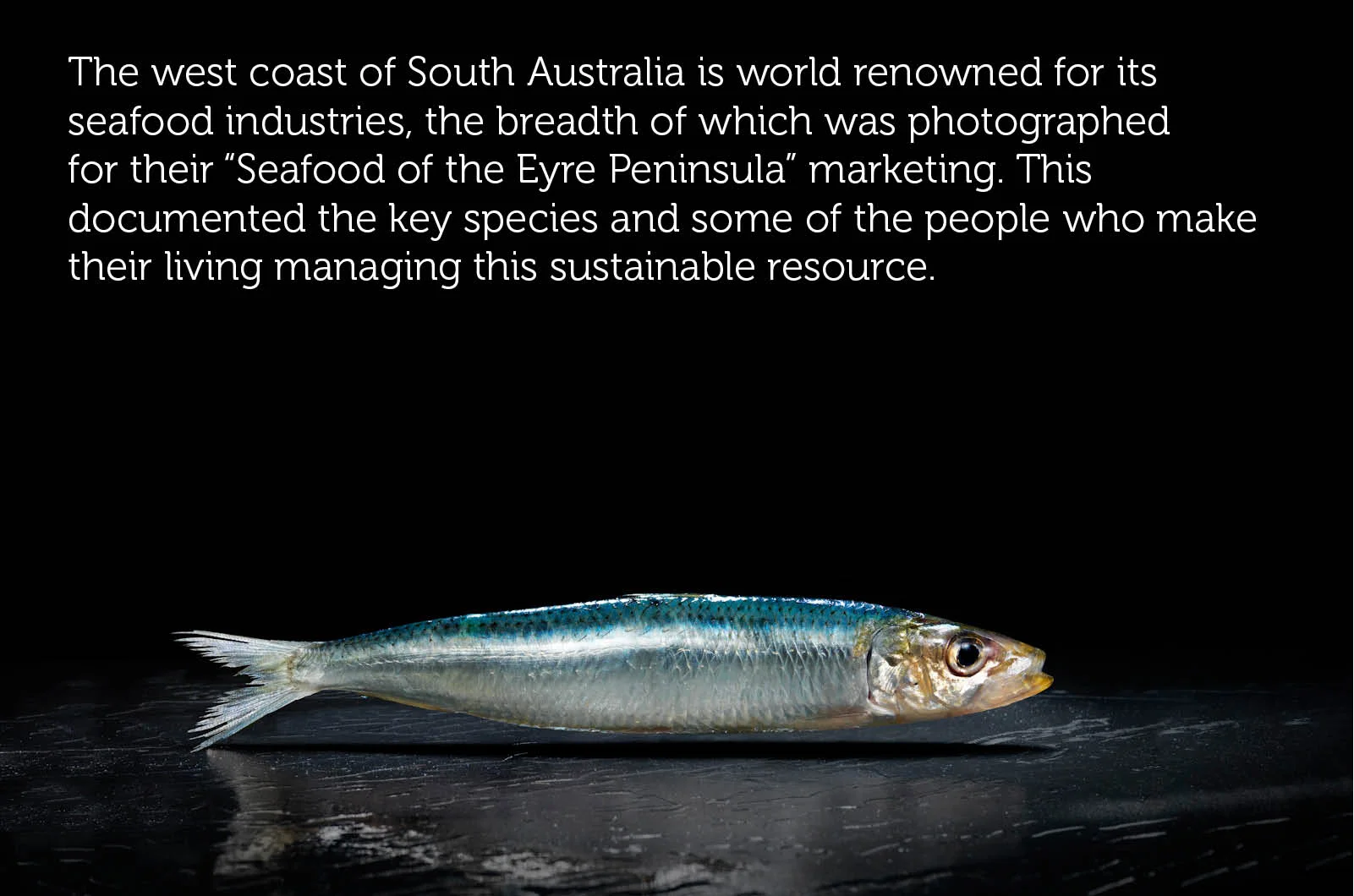 seafood title.jpg