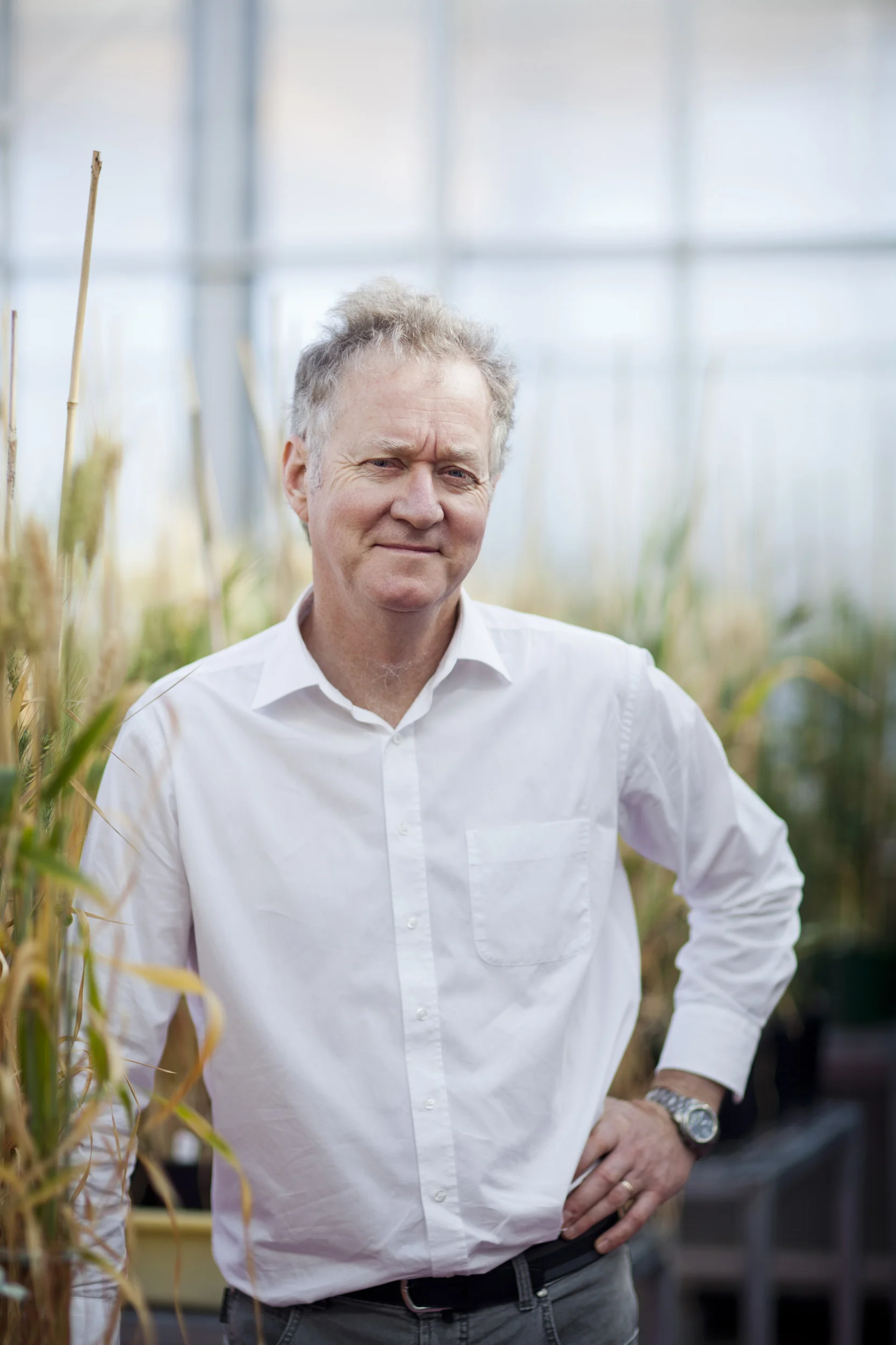 Professor Peter Langridge, 2011 South Australian Scientist of the Year