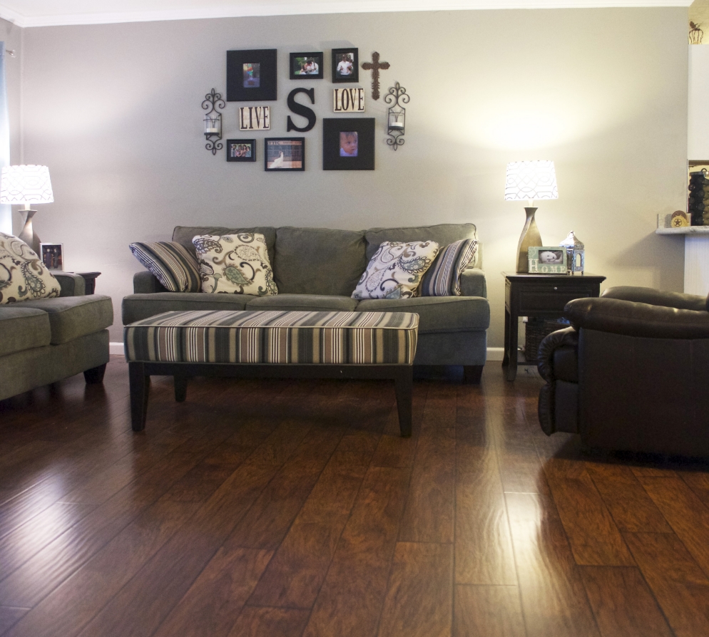 allen forest living room.jpeg