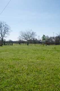 DSC_0329.jpeg