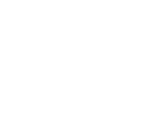 White-Page-300x246.jpg