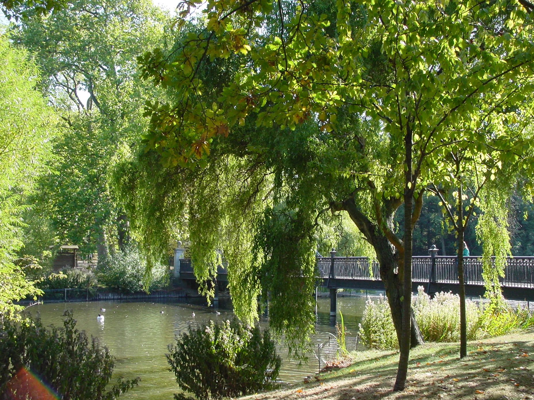 Beautiful Regent's Park