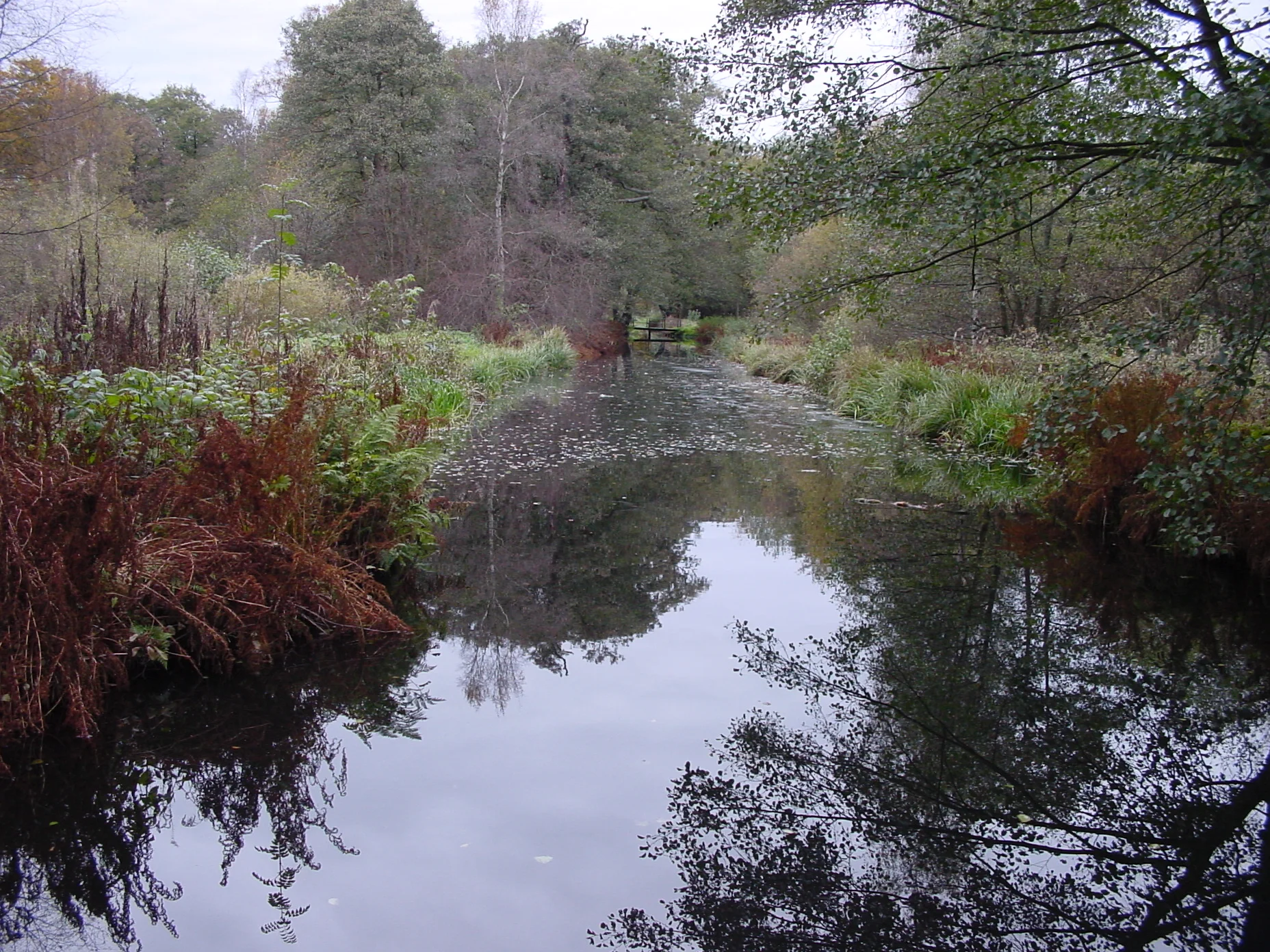 Castle's Park Grounds