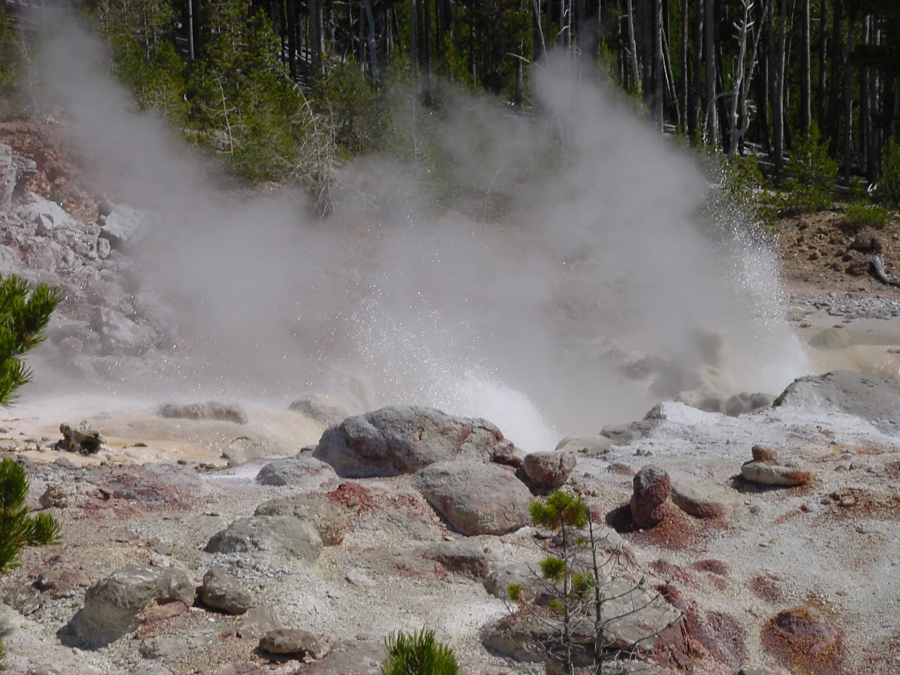 Home to the Geysers