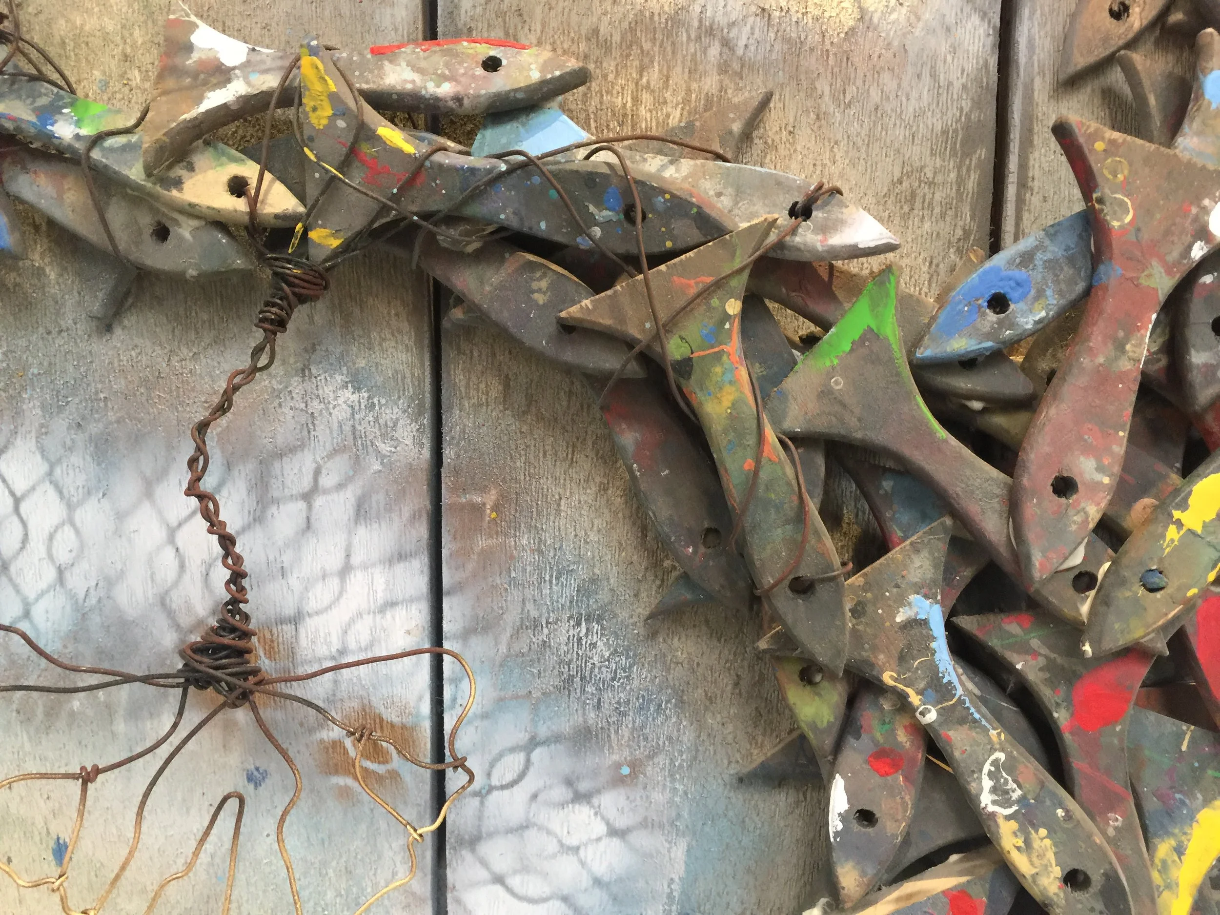 Gingko Tree (Close up-1)