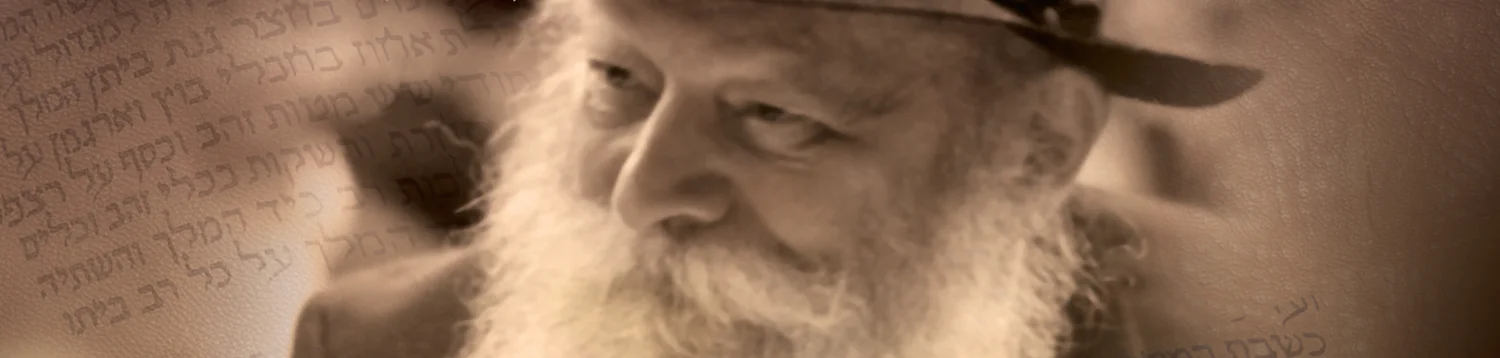 Picture of Rebbe for gimmel Tammuz.jpeg