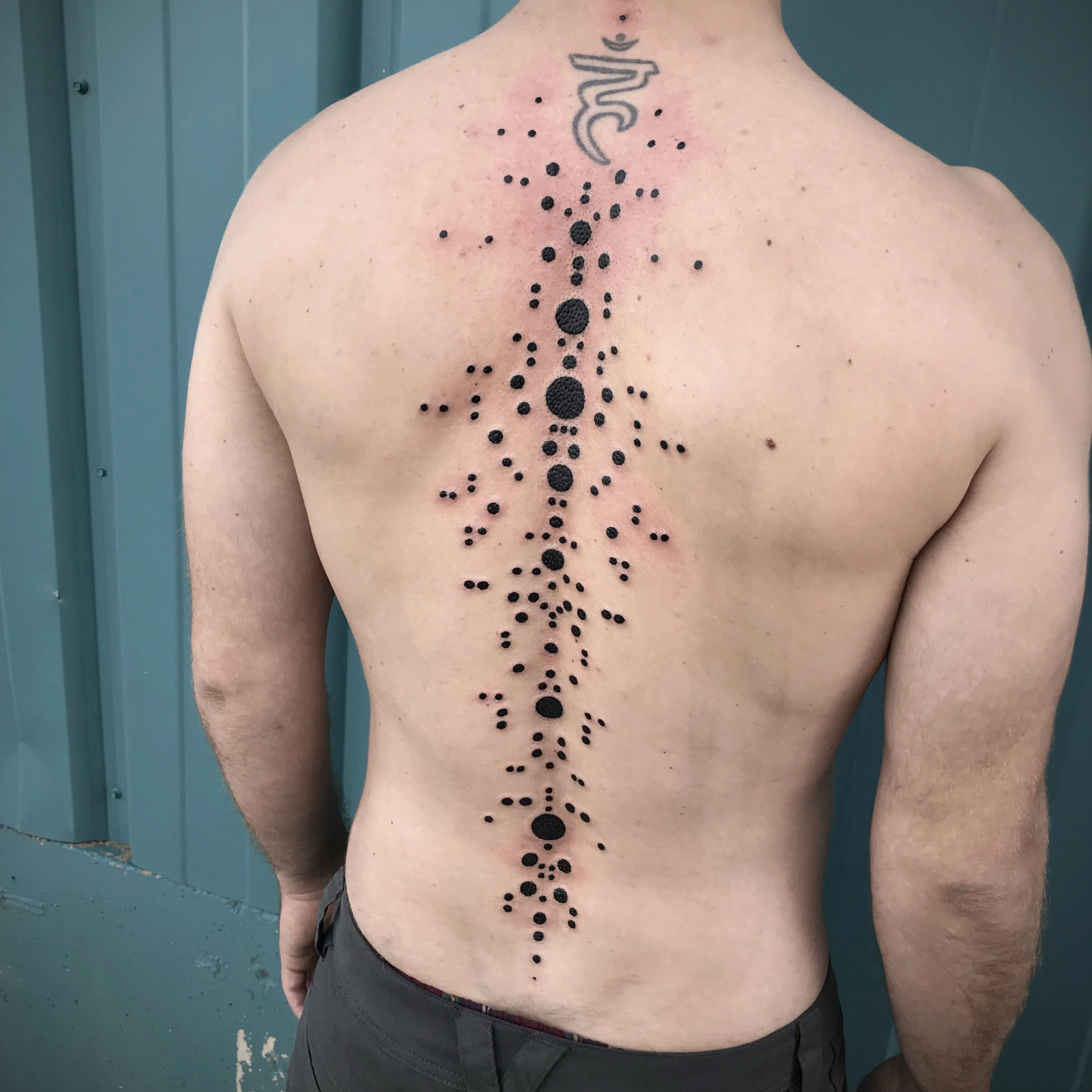 krisd_ian_spine2.jpg