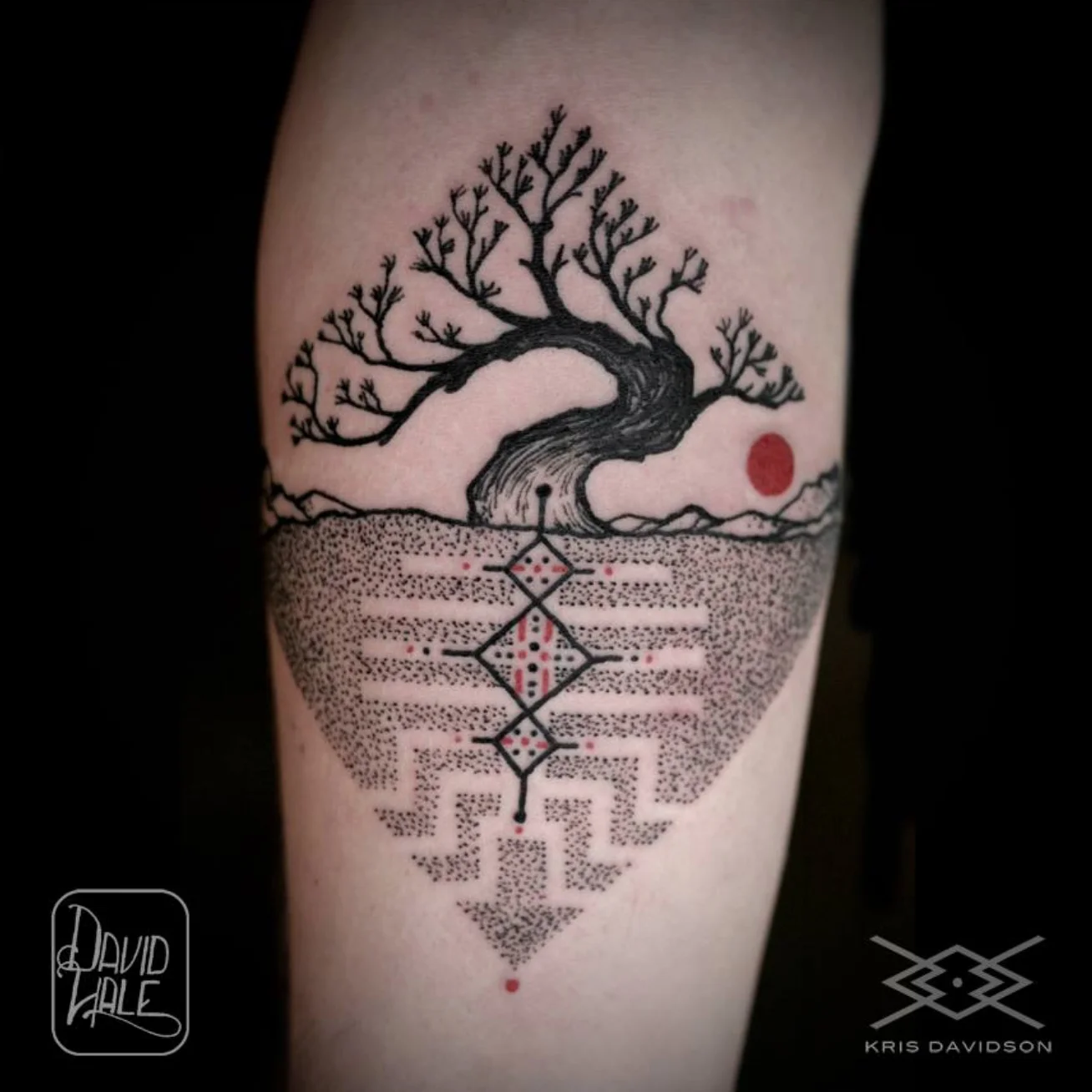 collaboration with David Hale - 2013
