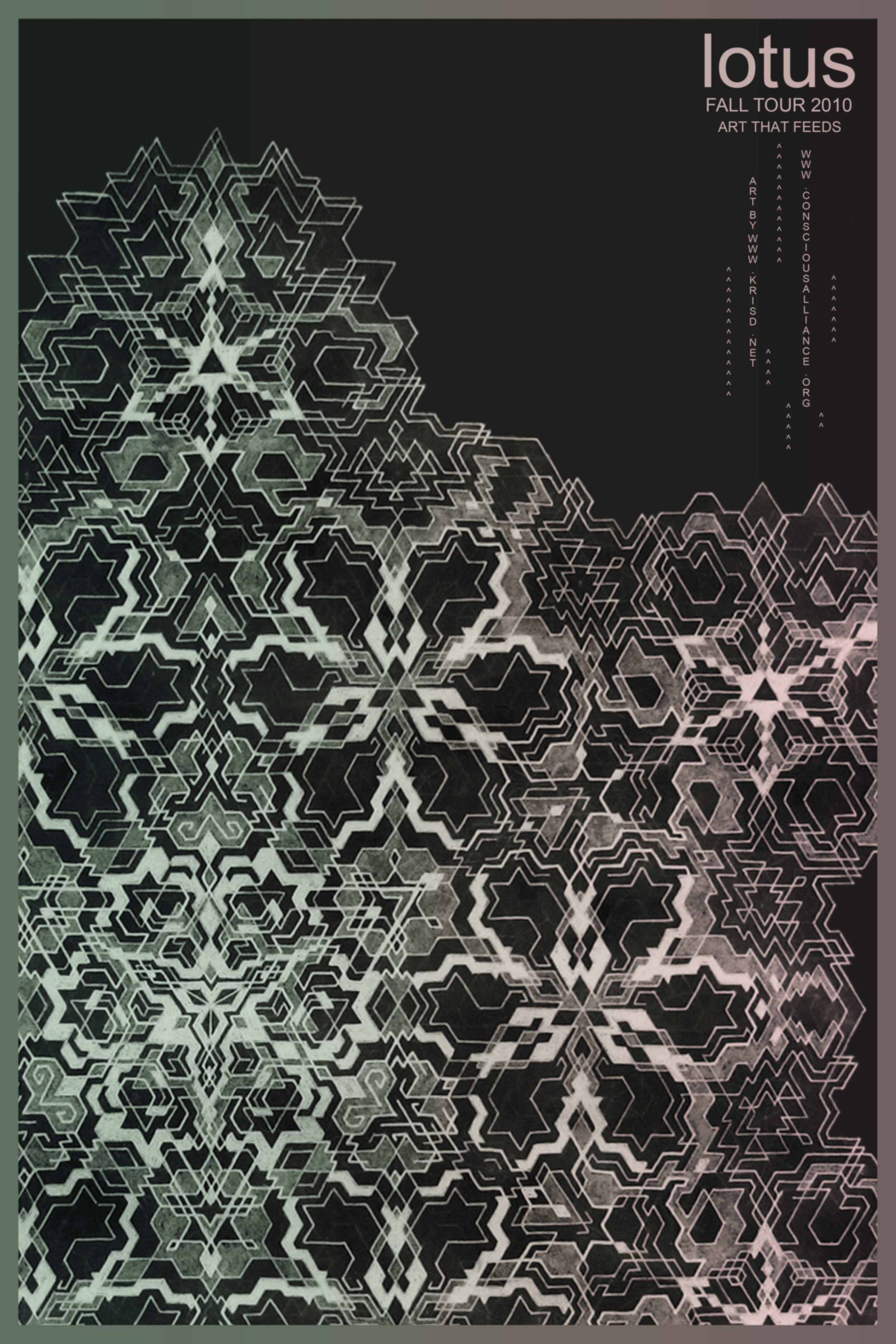 lotus concert poster - 2010