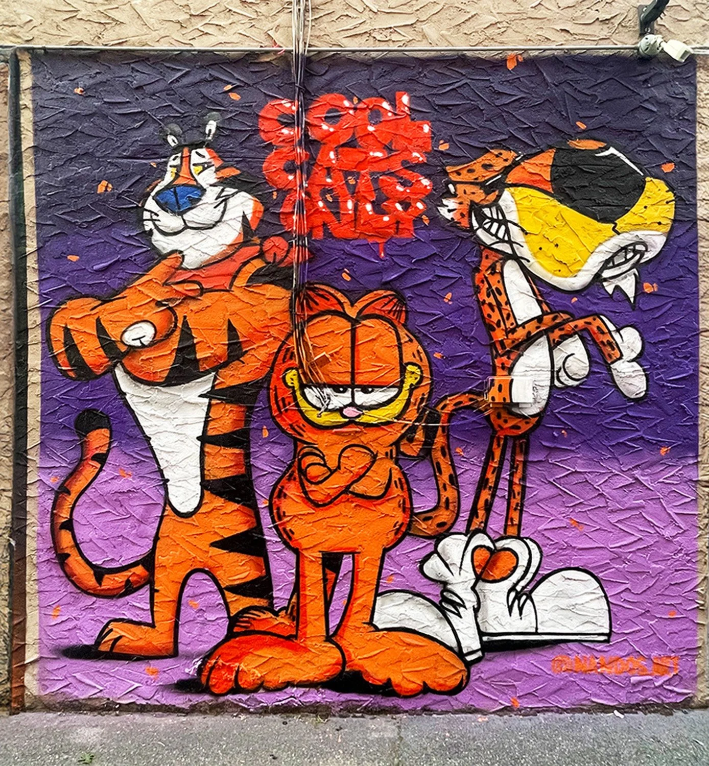 Cool Cats Only