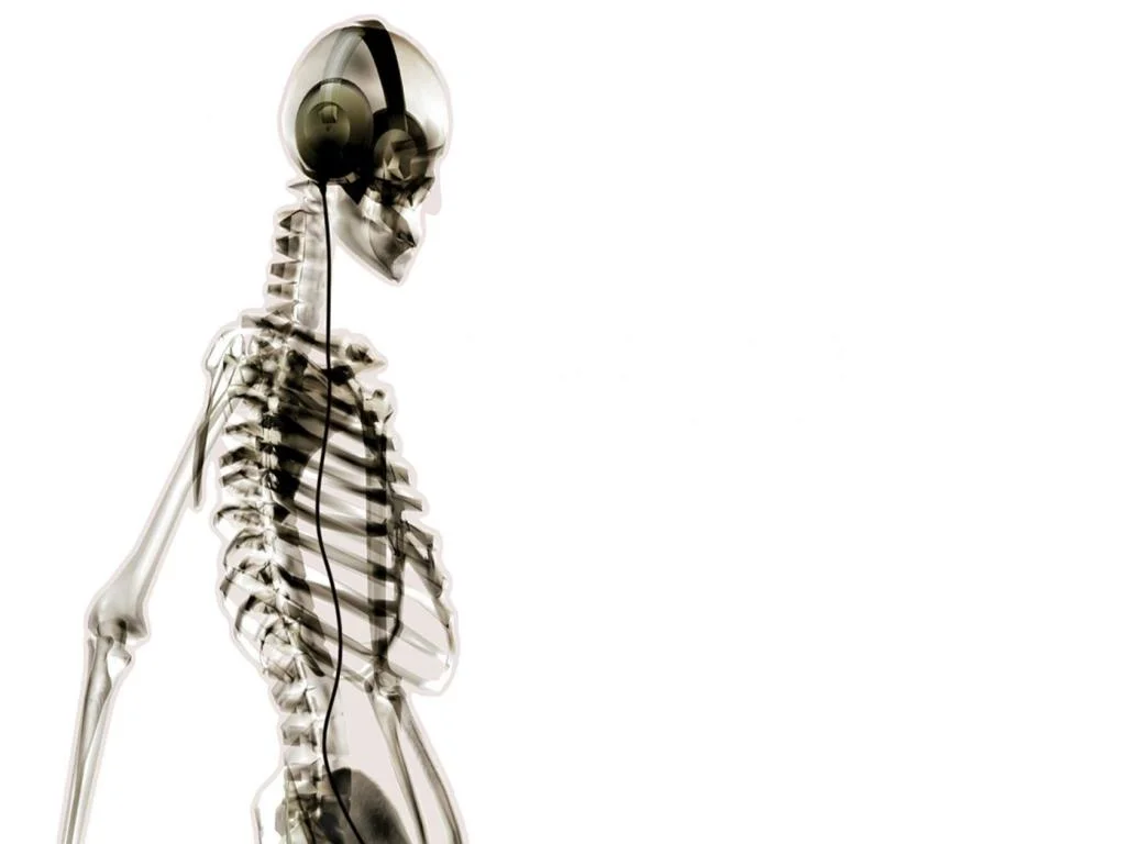 Human Skeleton.jpg