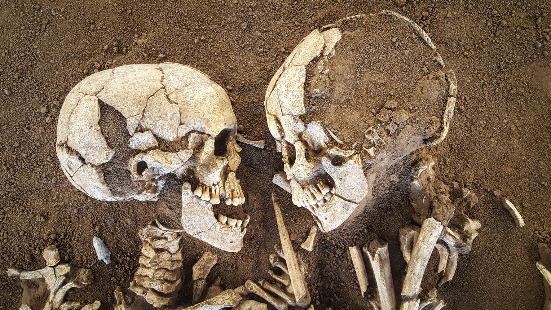 Skeletons Embracing.jpg