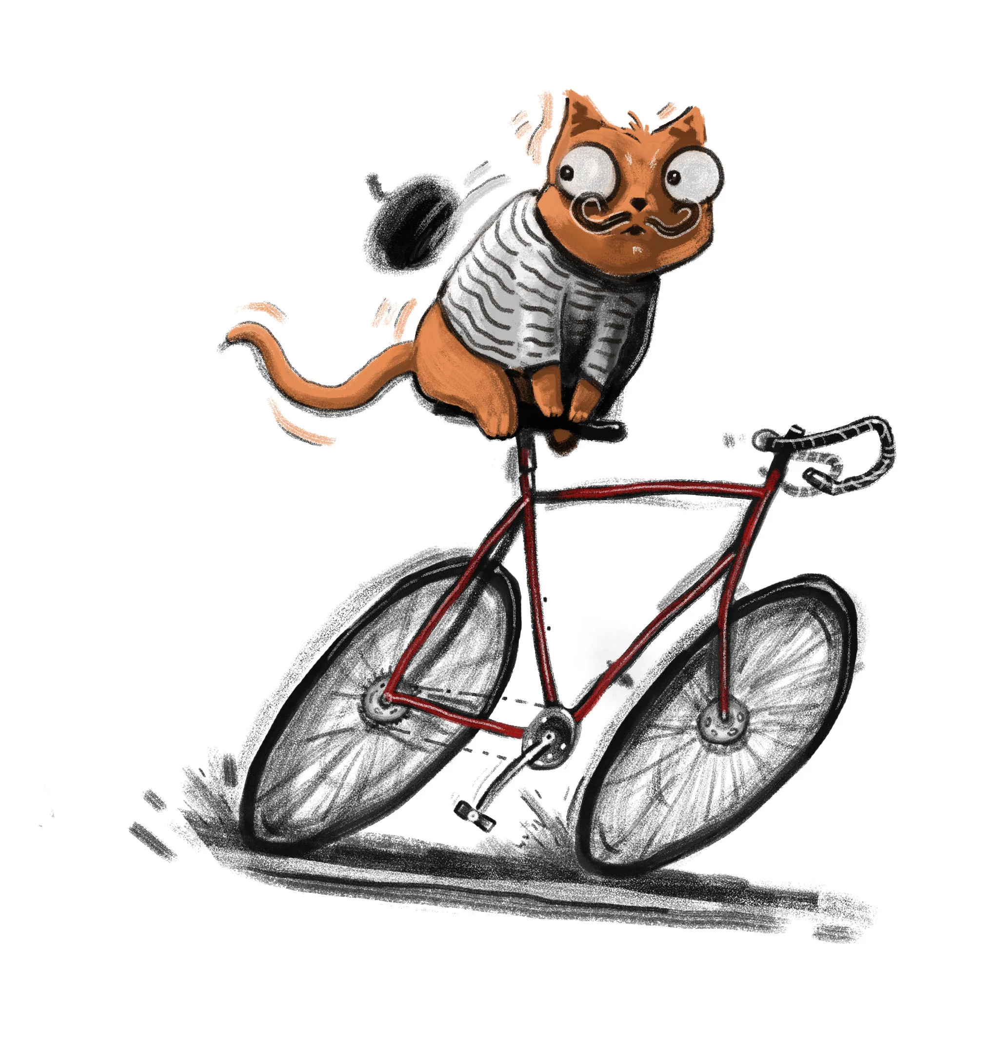 french cat 3.jpg