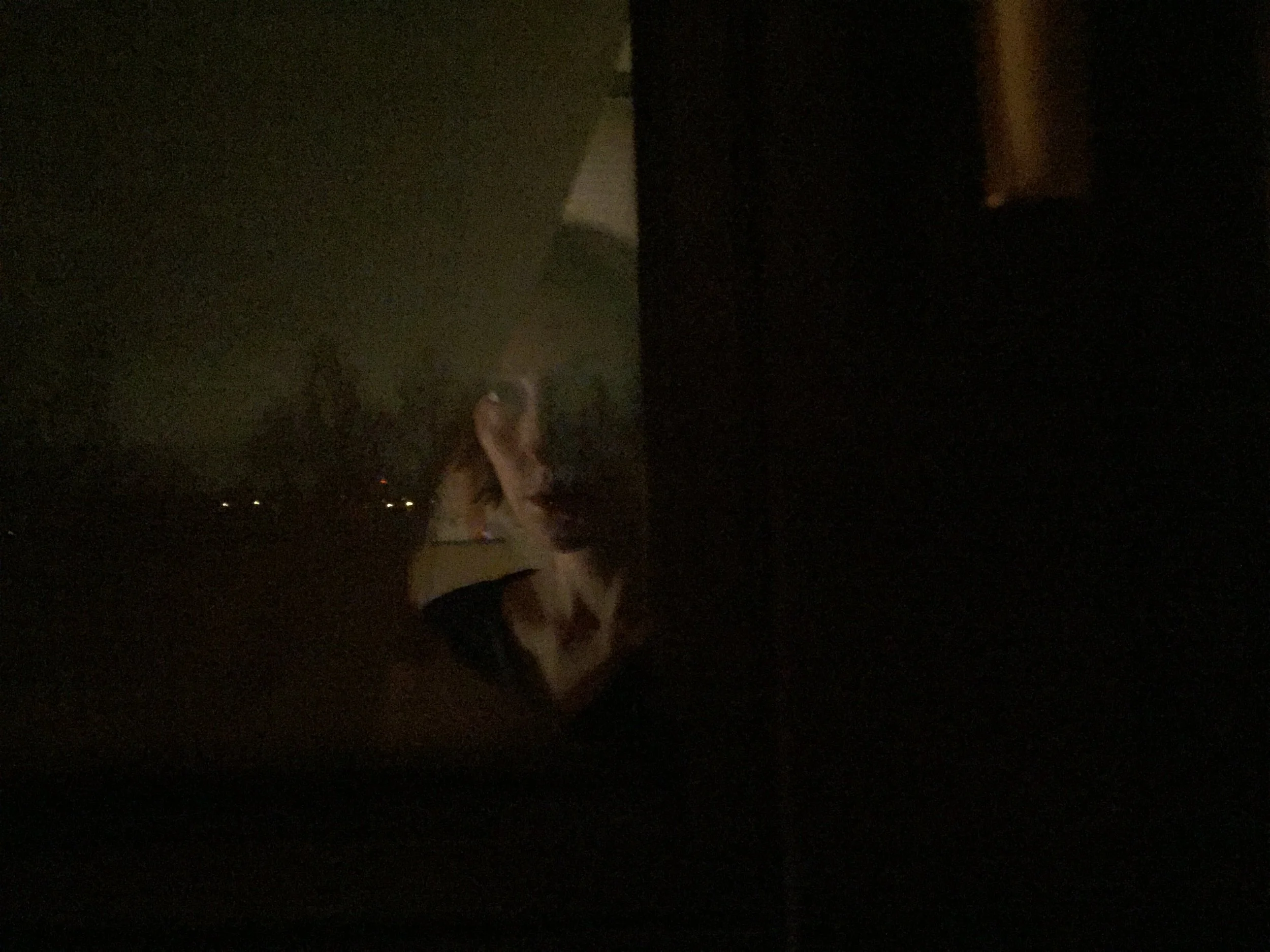  I opened the window and for a moment I felt bliss. It was an unreachable juncture that I grabbed and immediately forgot. There was nothing else left. Just like when you leave and I have to start from the beginning each and every time. Maybe tomorrow