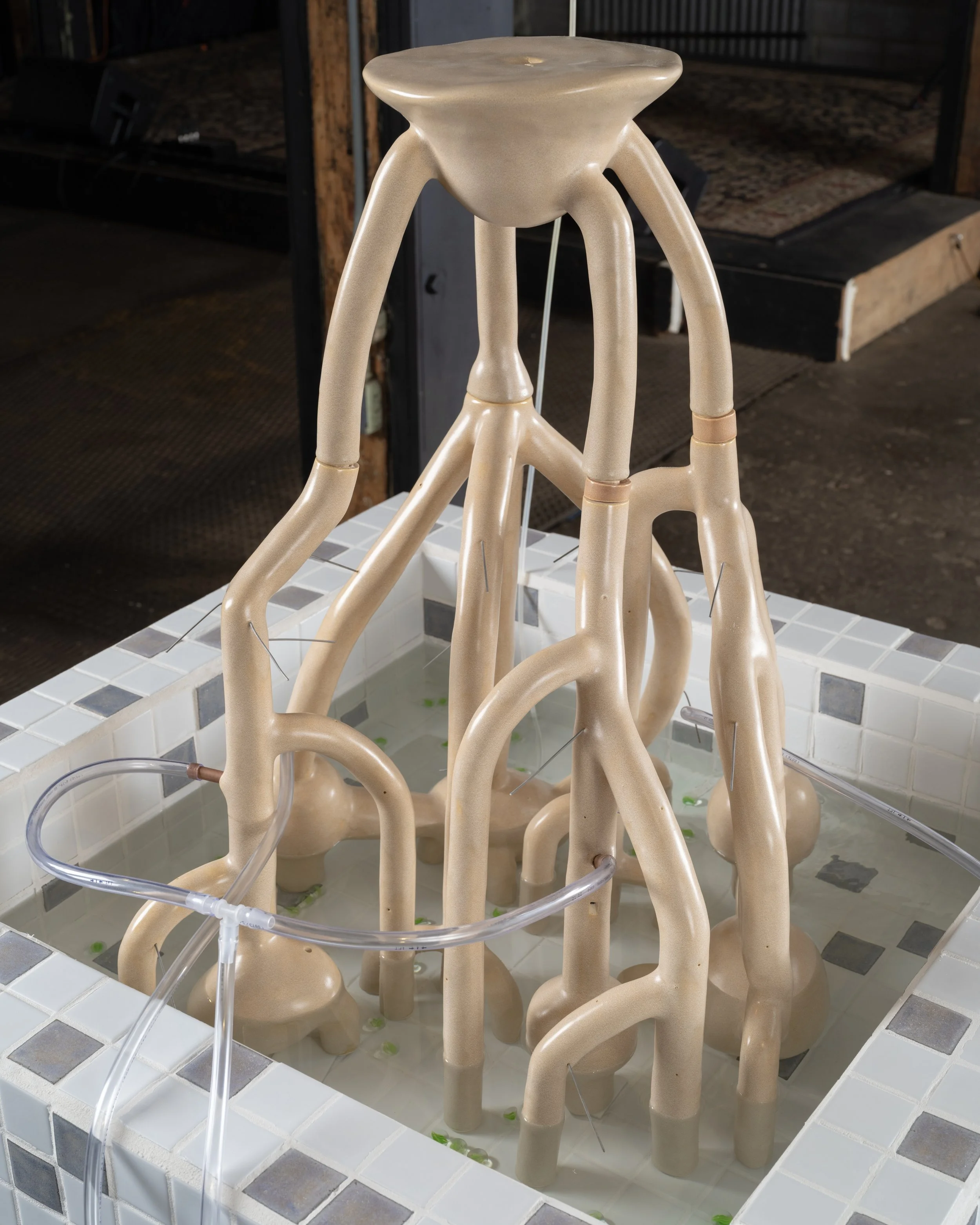  Qiuyu Wu,  Dweller  (2026), Documentation by farfar studio. 
