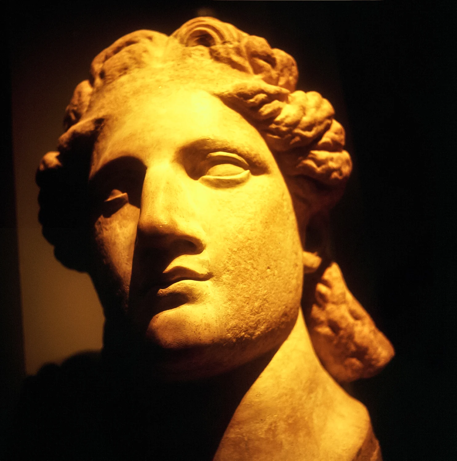 Angel Romana.jpg
