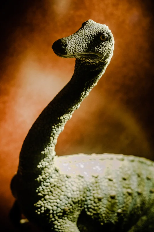 Dinoportraits-3.jpg